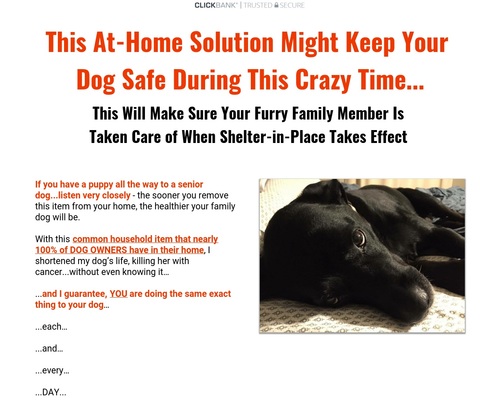 Save Your Dog Save Your Dog
