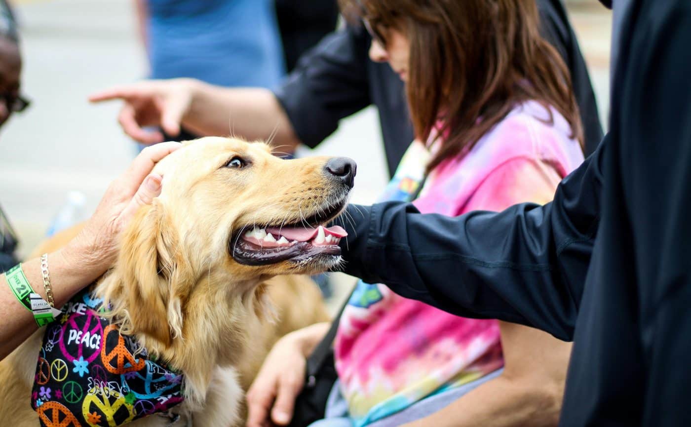 9 Dog Breeds That Were at the Center of Every Block Party and Bonfire 9 Dog Breeds That Were at the Center of Every Block Party and Bonfire