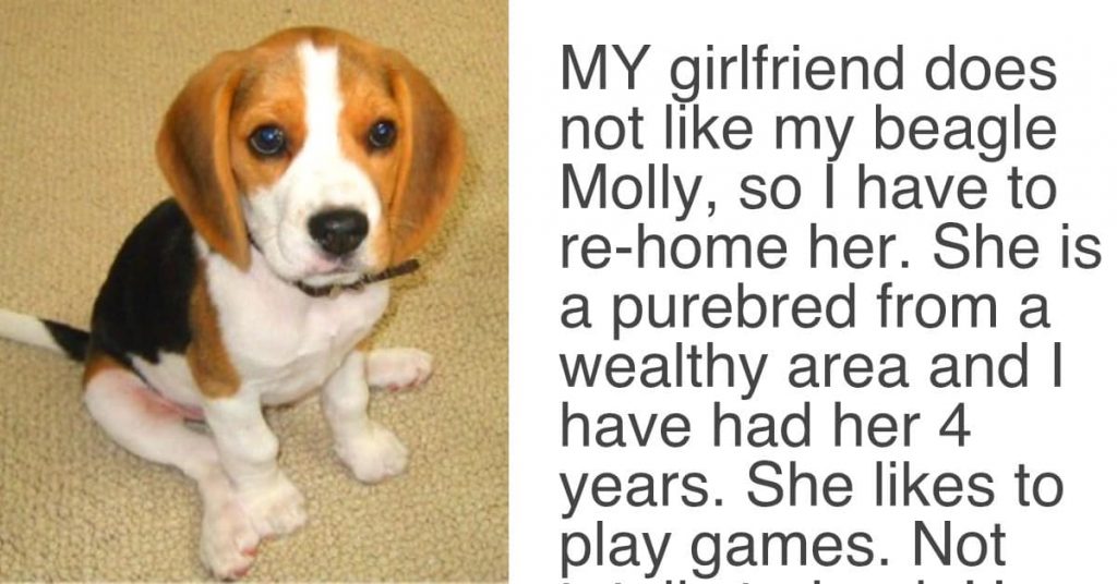 Girlfriend Gave Her Partner An ‘Ultimatum’, Demands Either “The Dog Goes” Or “She Goes” Girlfriend Gave Her Partner An ‘Ultimatum’, Demands Either “The Dog Goes” Or “She Goes”