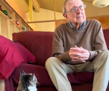 This Quiet Moment Between Grandpa and His Cat Says Everything This Quiet Moment Between Grandpa and His Cat Says Everything