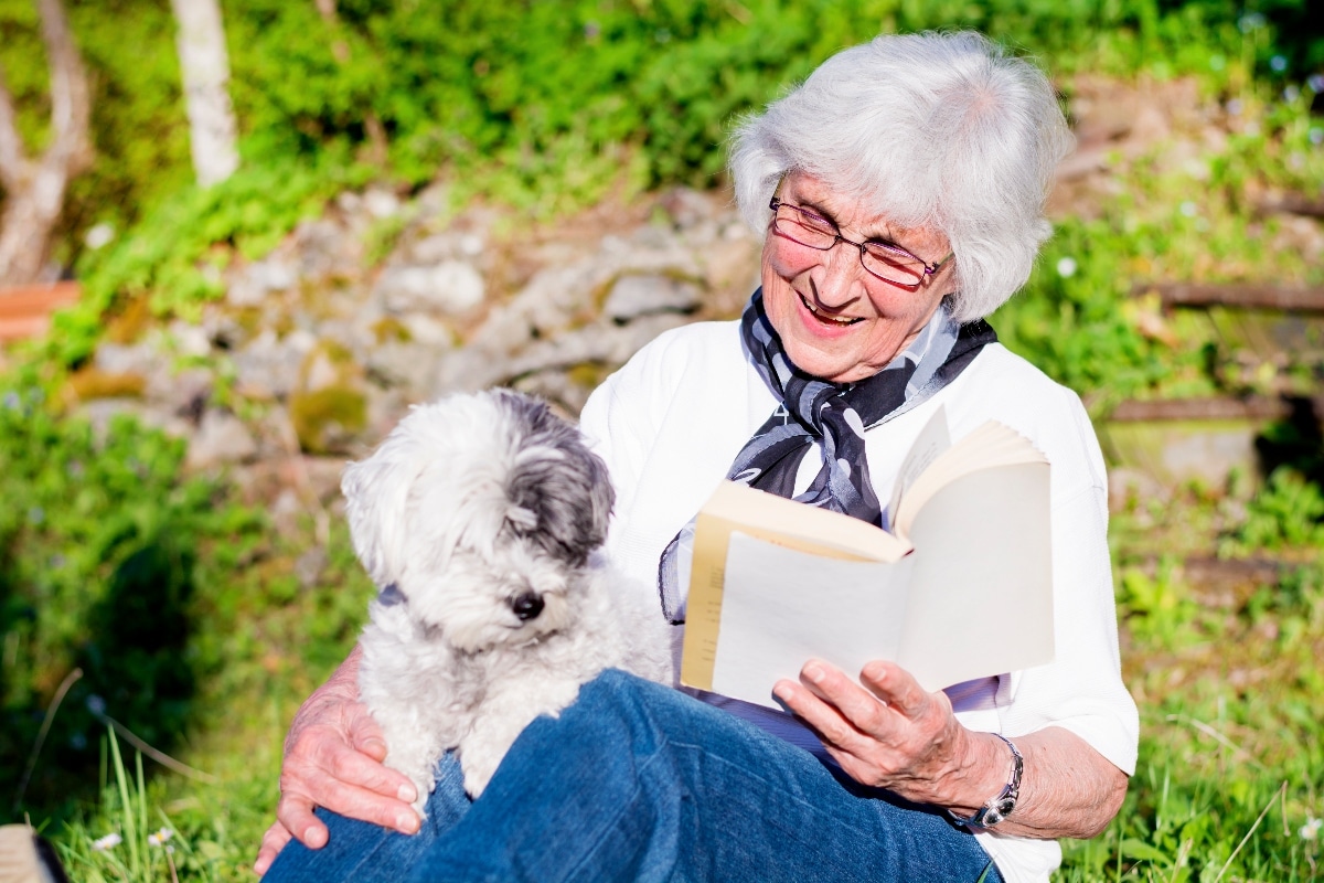 11 Dog Breeds That Are Perfect For Seniors At Home 11 Dog Breeds That Are Perfect For Seniors At Home