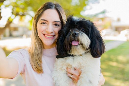 11 Fluffy Dog Breeds That Look Like Plush Toys