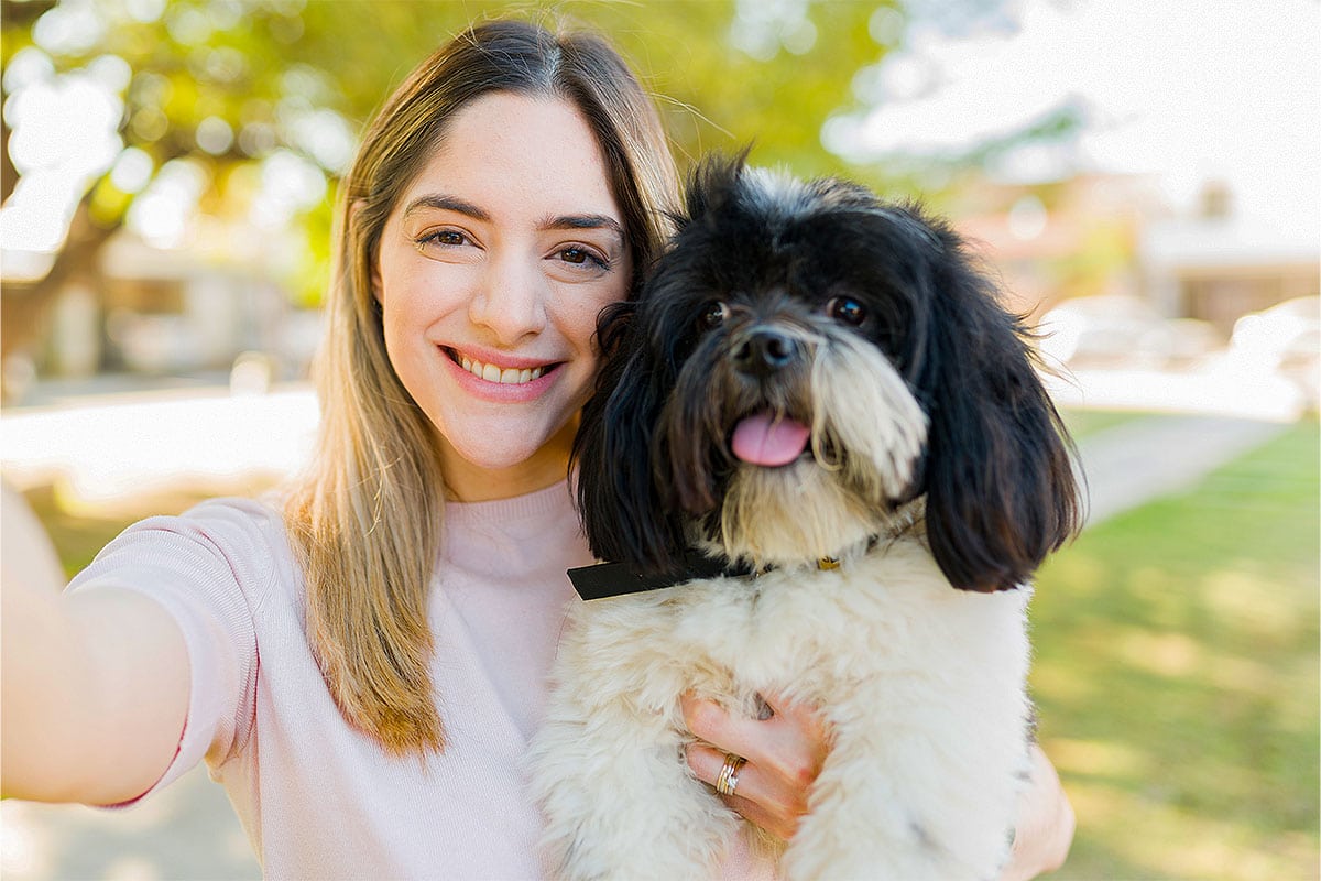 11 Fluffy Dog Breeds That Look Like Plush Toys 11 Fluffy Dog Breeds That Look Like Plush Toys