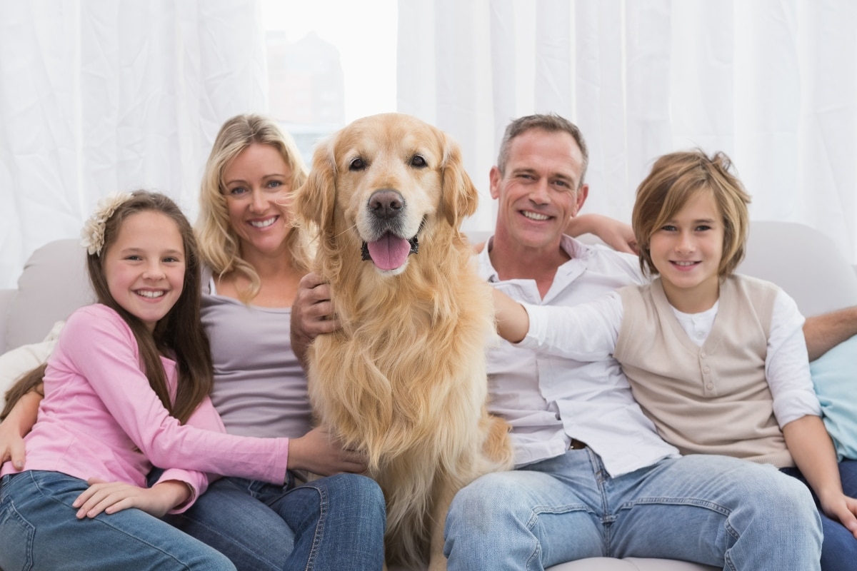 11 Friendly Dog Breeds That Light Up a Room 11 Friendly Dog Breeds That Light Up a Room
