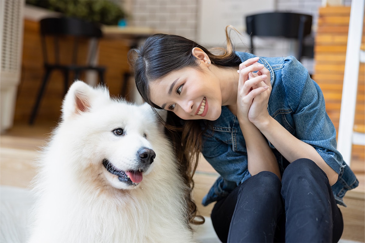 11 Goofy Dog Breeds That Are Just Fun 11 Goofy Dog Breeds That Are Just Fun