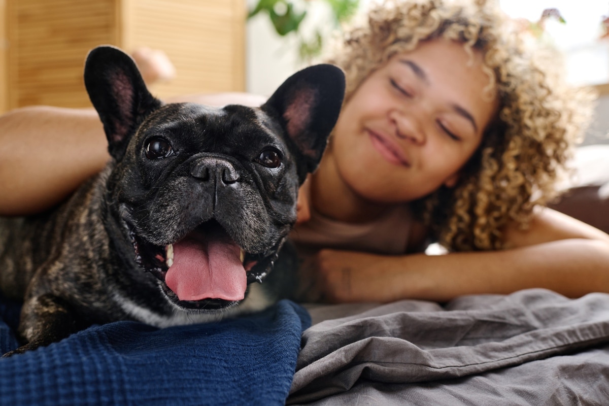 11 Quiet Dog Breeds That Keep You Zen 11 Quiet Dog Breeds That Keep You Zen