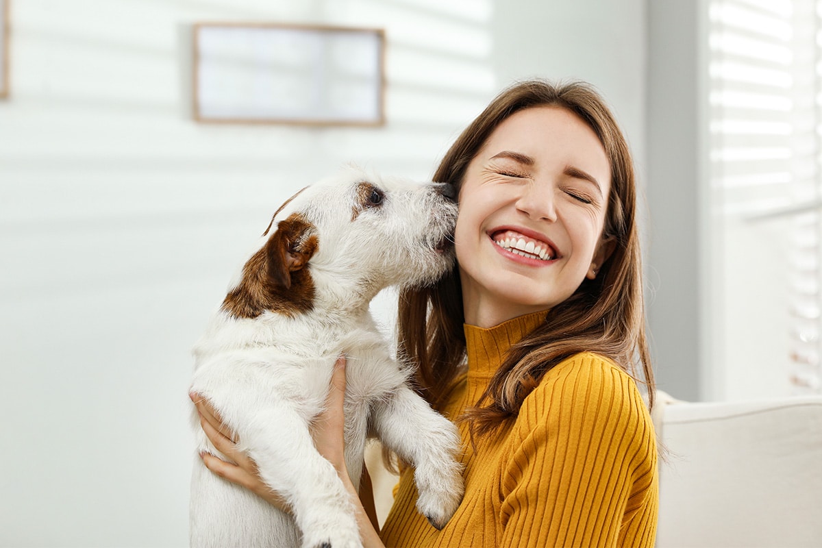 11 Signs Your Dog Watches Over You 11 Signs Your Dog Watches Over You