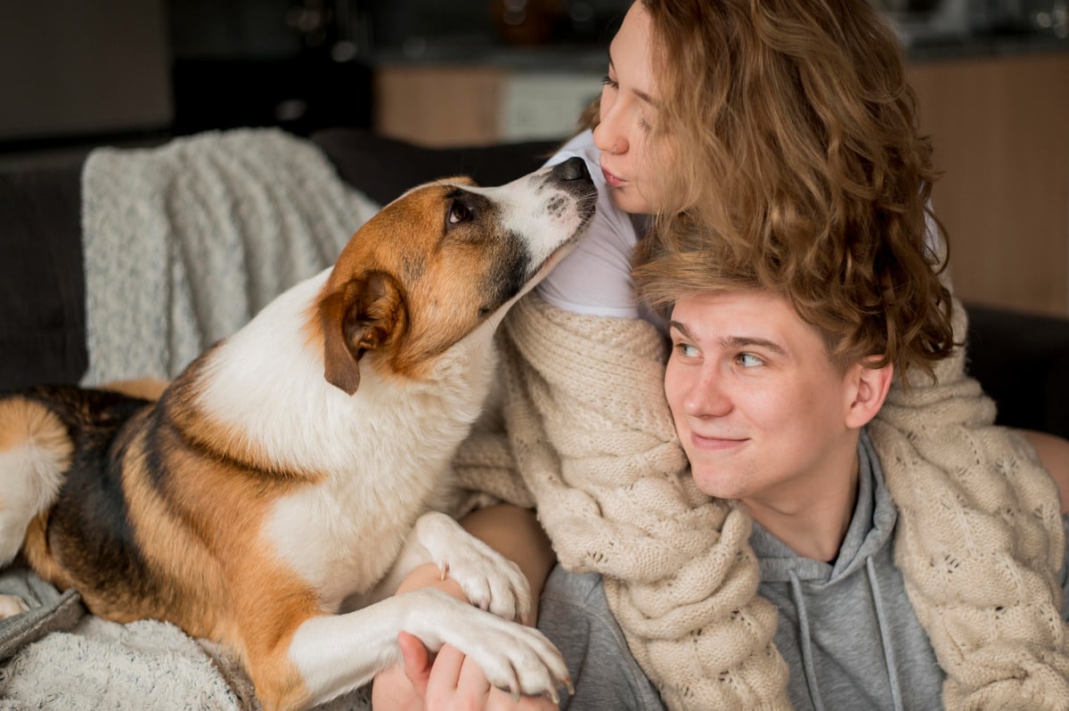 13 Calm Dog Breeds That Bring Peace 13 Calm Dog Breeds That Bring Peace