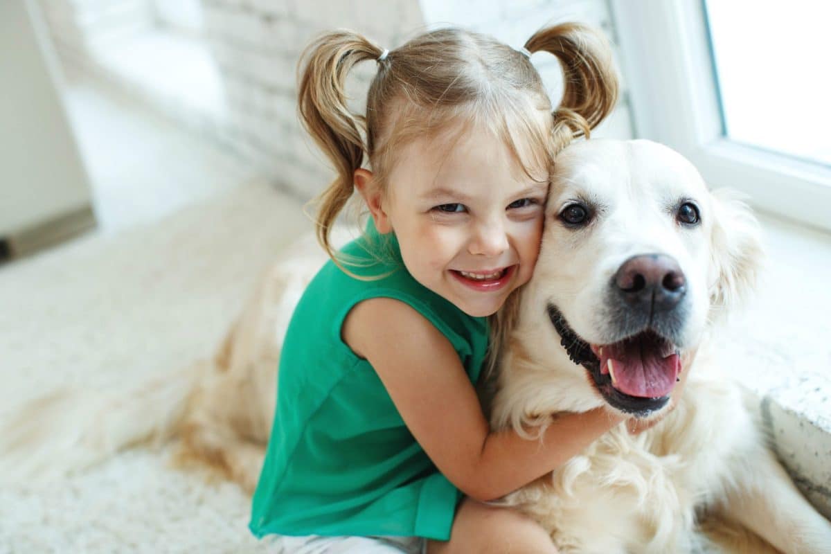 13 Gentle Dog Breeds That Kids Adore 13 Gentle Dog Breeds That Kids Adore