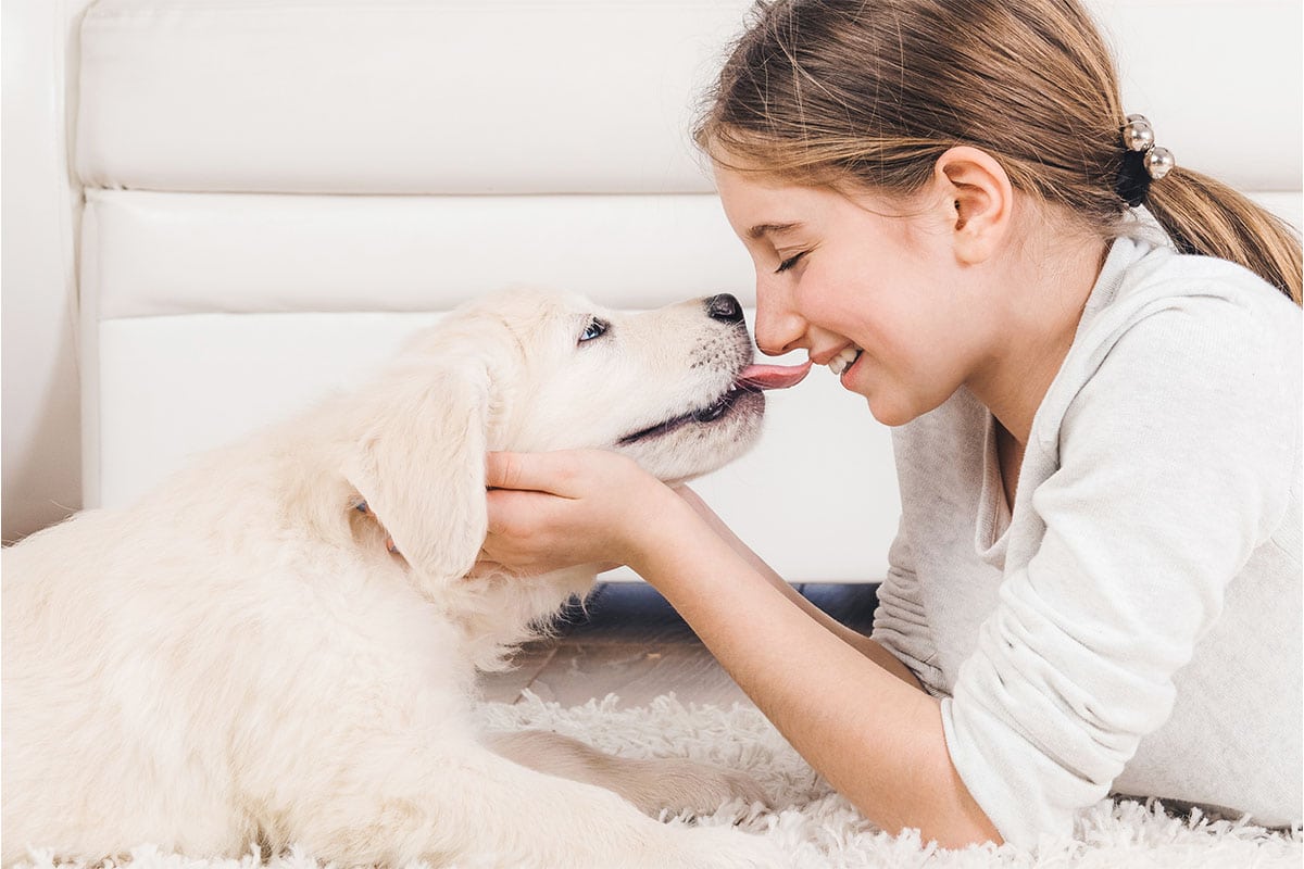 13 Precious Signs Your Dog Really Loves You 13 Precious Signs Your Dog Really Loves You