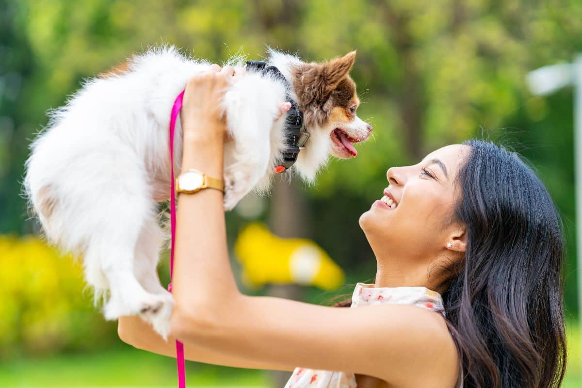 13 Tiny Dog Breeds With Huge Hearts 13 Tiny Dog Breeds With Huge Hearts