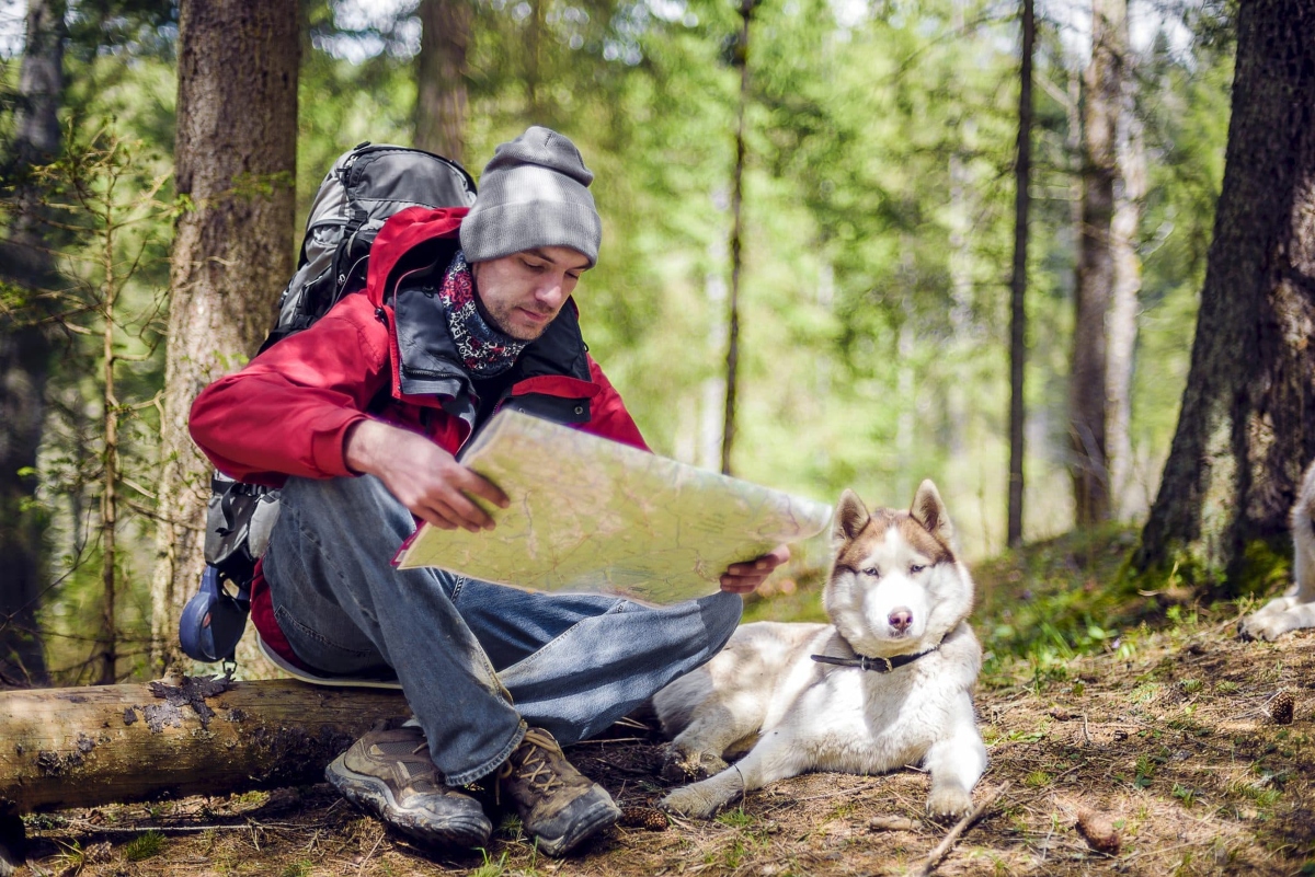 15 Adventurous Dog Breeds That Love Trail Hiking 15 Adventurous Dog Breeds That Love Trail Hiking
