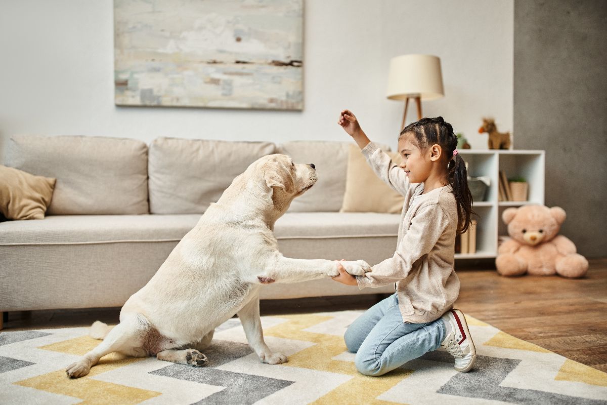 15 Brainy Dog Breeds That Learn So Fast 15 Brainy Dog Breeds That Learn So Fast