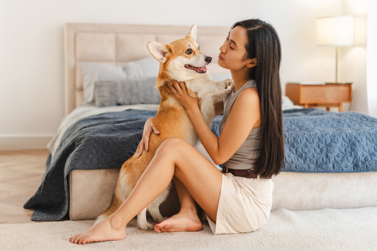 15 Cuddly Dog Breeds Made To Warm Hearts