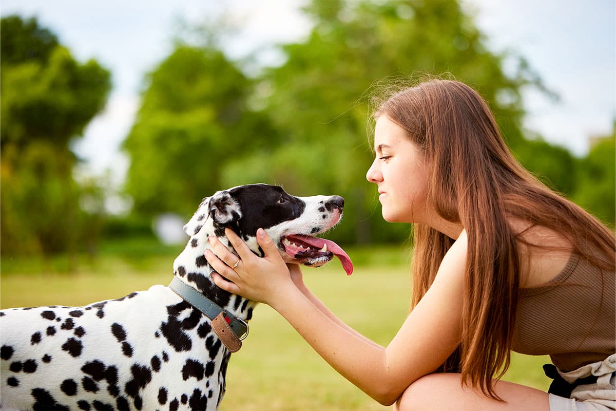 15 Dog Behaviors That Actually Show Affection 15 Dog Behaviors That Actually Show Affection