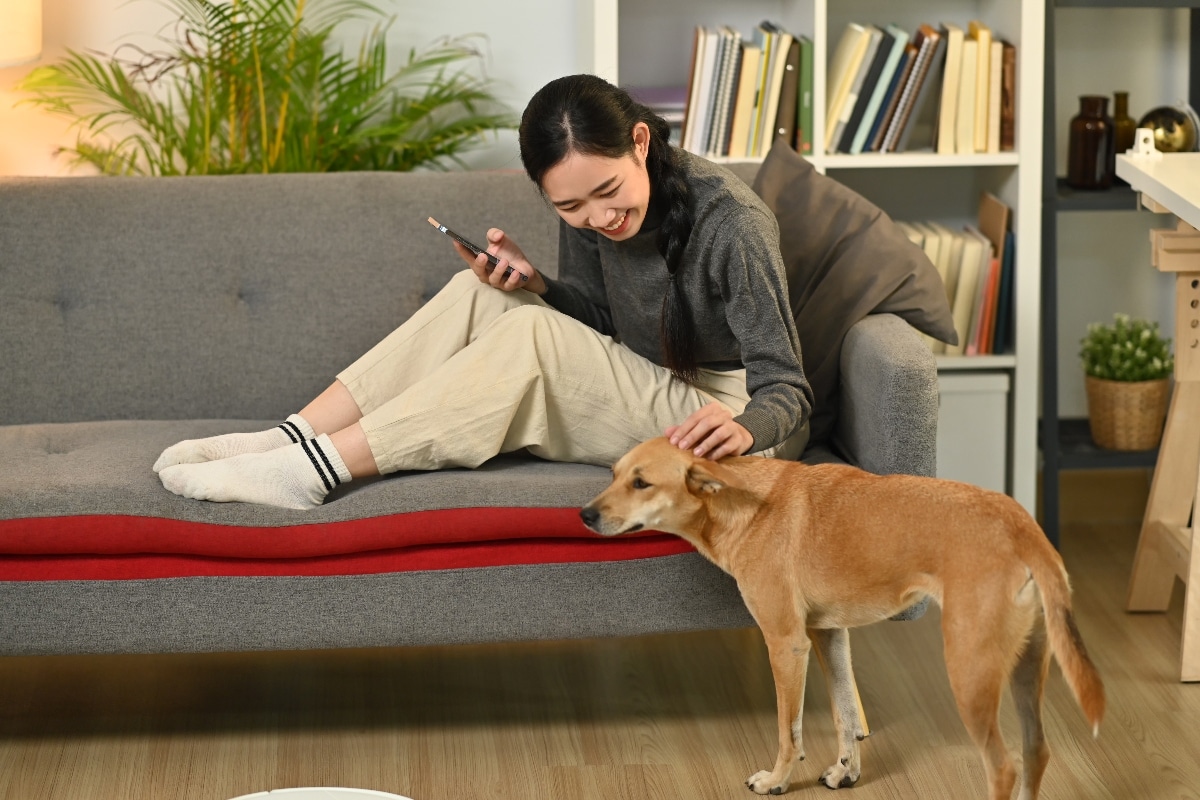 15 Facts About Dog Loyalty That’ll Melt You 15 Facts About Dog Loyalty That’ll Melt You