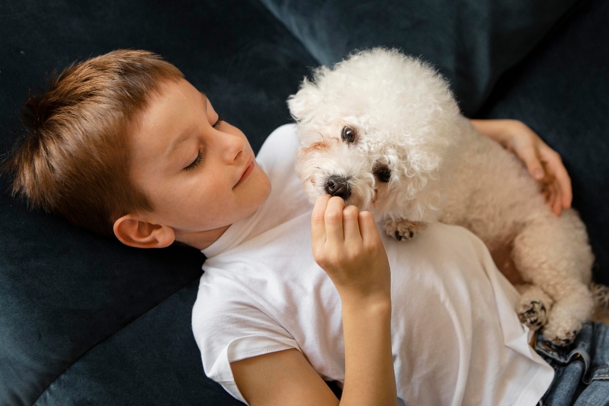 15 Loving Dog Breeds That Are All Heart 15 Loving Dog Breeds That Are All Heart