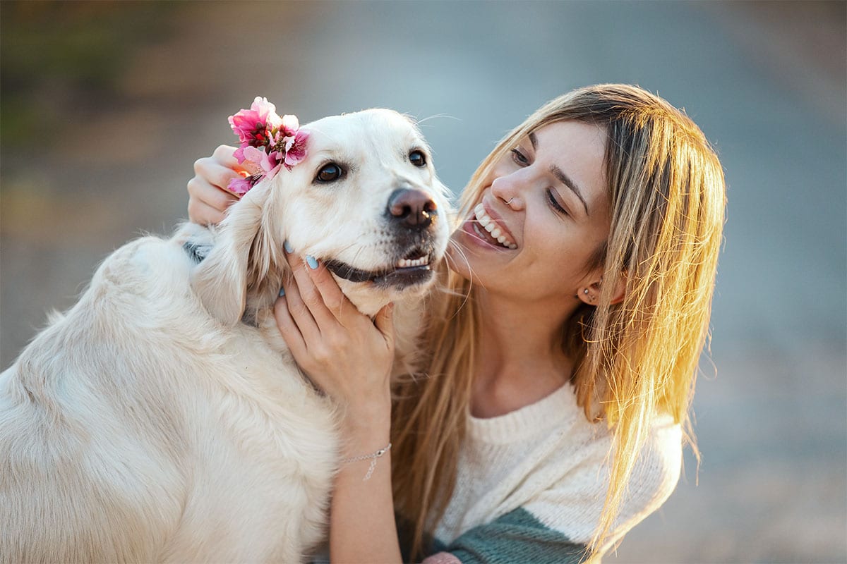 15 Loving Dog Breeds That Know You Best 15 Loving Dog Breeds That Know You Best