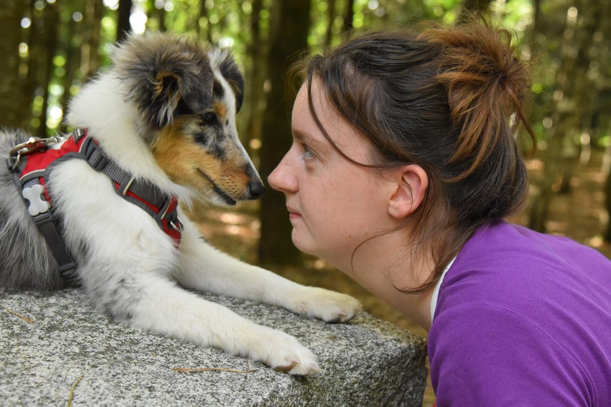 15 Loyal Dog Breeds That Always Choose You 15 Loyal Dog Breeds That Always Choose You