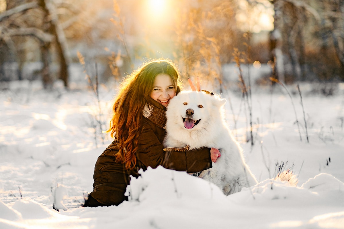 15 Loyal Dog Breeds That Never Leave Your Side 15 Loyal Dog Breeds That Never Leave Your Side