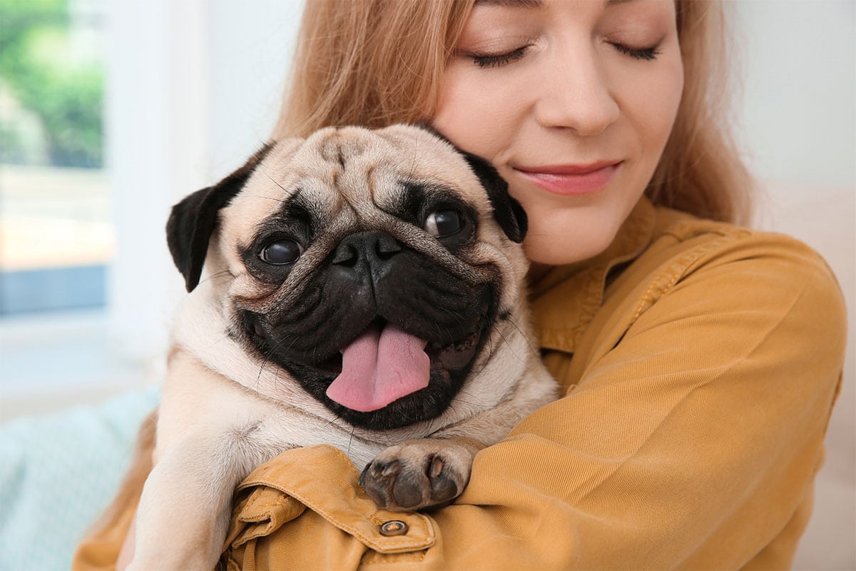 15 Sweet-Tempered Dog Breeds You’ll Love For A Lifetime 15 Sweet-Tempered Dog Breeds You’ll Love For A Lifetime