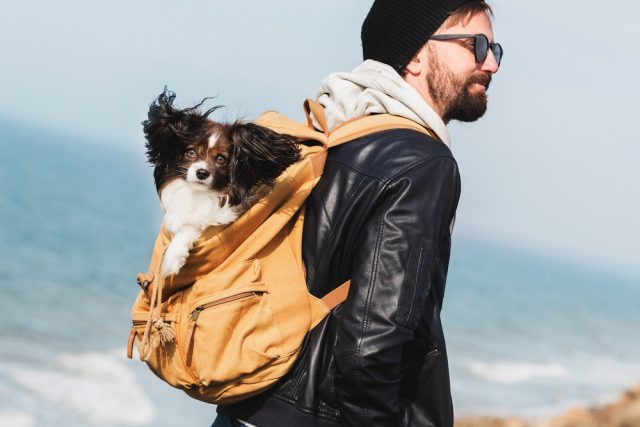 23 Custom Dog Dad Gifts To Order Early For Father’s Day