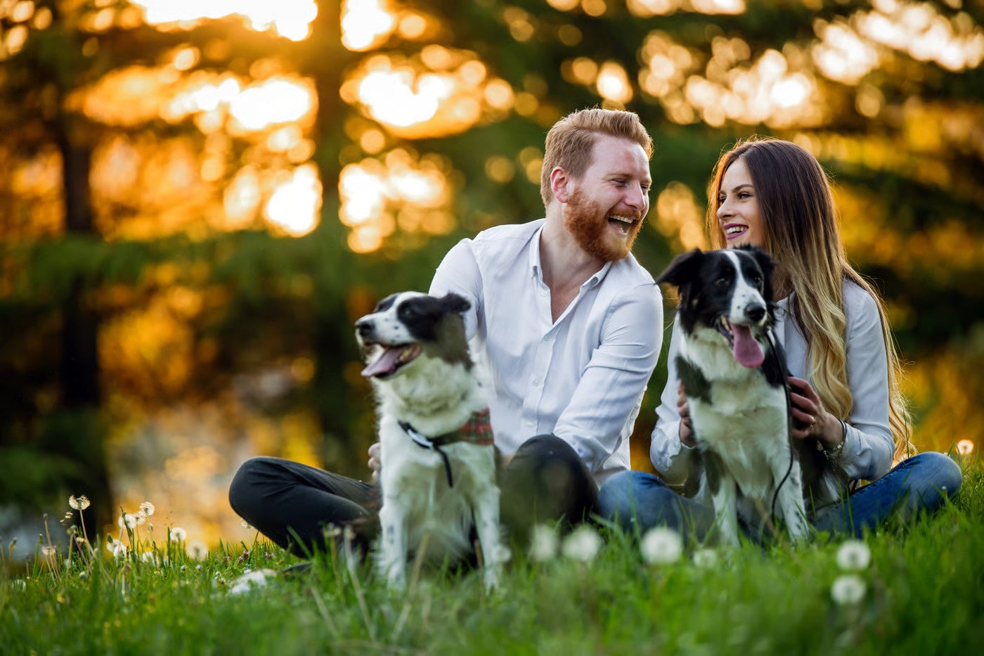 6 Ways How a Pet in Your House Can Boost Your Health – Petsworld