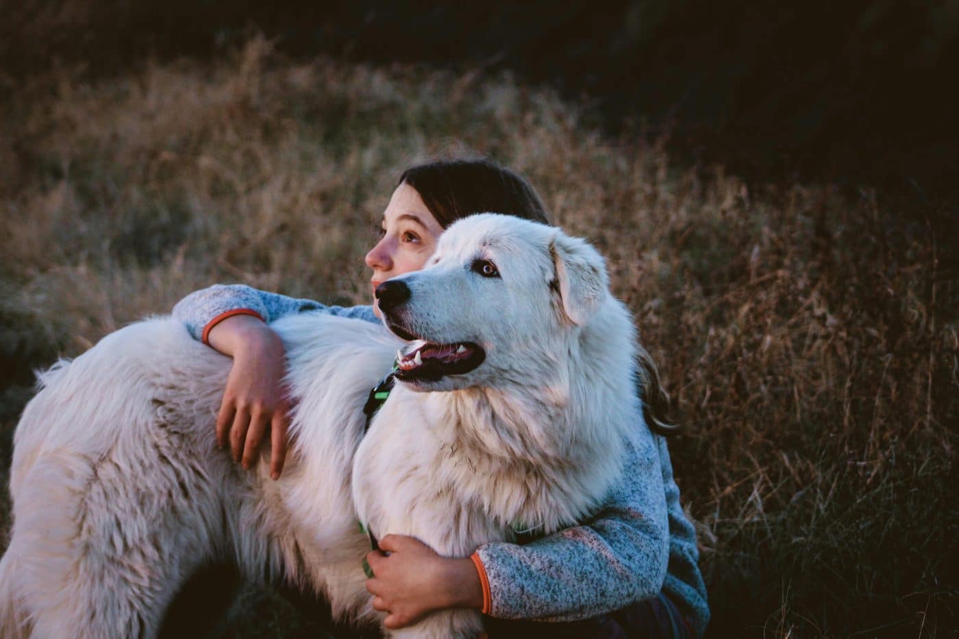 7 Ultimate Dog Breeds That Stand By Your Side Through Thick And Thin 7 Ultimate Dog Breeds That Stand By Your Side Through Thick And Thin