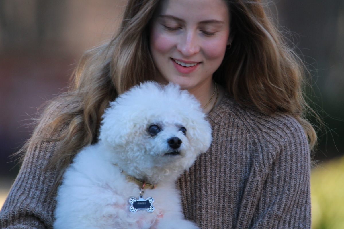 9 Affectionate Dog Breeds That Cuddle Hard 9 Affectionate Dog Breeds That Cuddle Hard