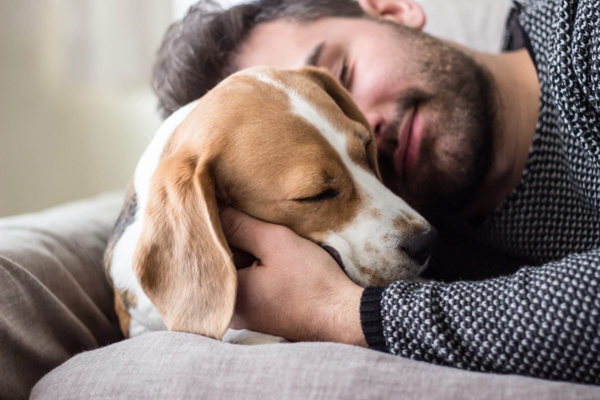9 Affectionate Dog Breeds That Snuggle With Style 9 Affectionate Dog Breeds That Snuggle With Style