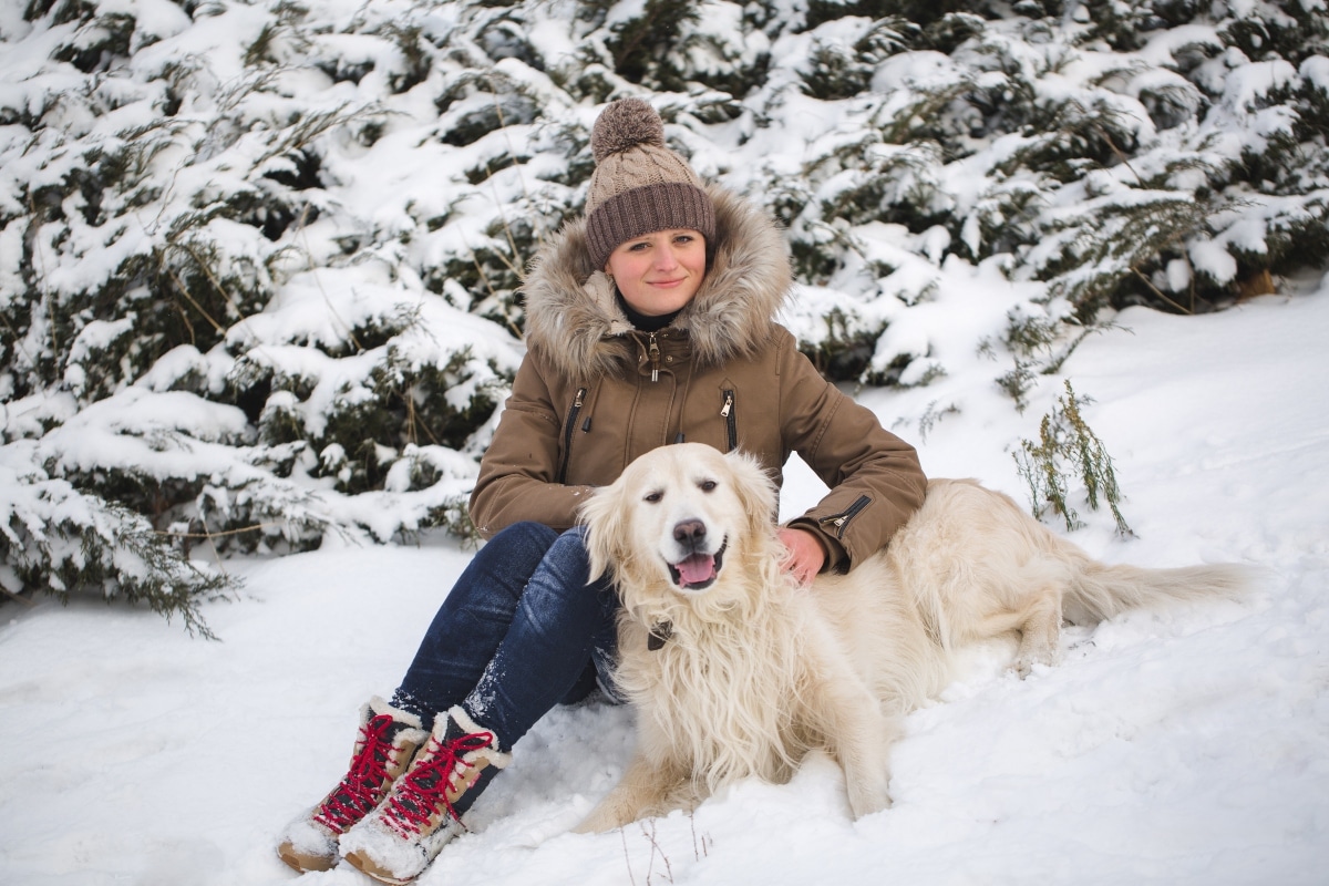 9 Comforting Dog Breeds Perfect For Winter Nights 9 Comforting Dog Breeds Perfect For Winter Nights