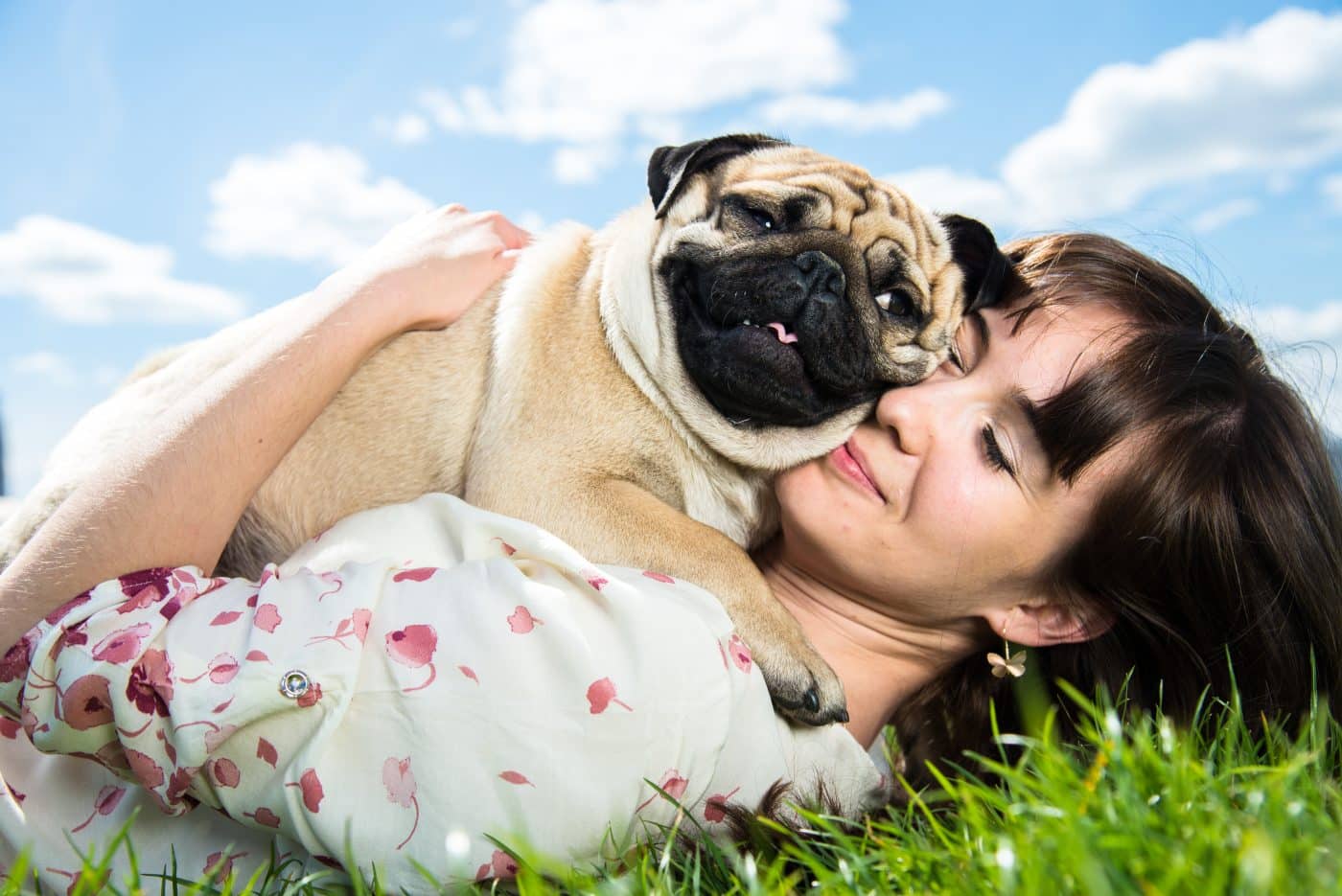9 Cuddly Dog Breeds That Are Champions of Naps 9 Cuddly Dog Breeds That Are Champions of Naps