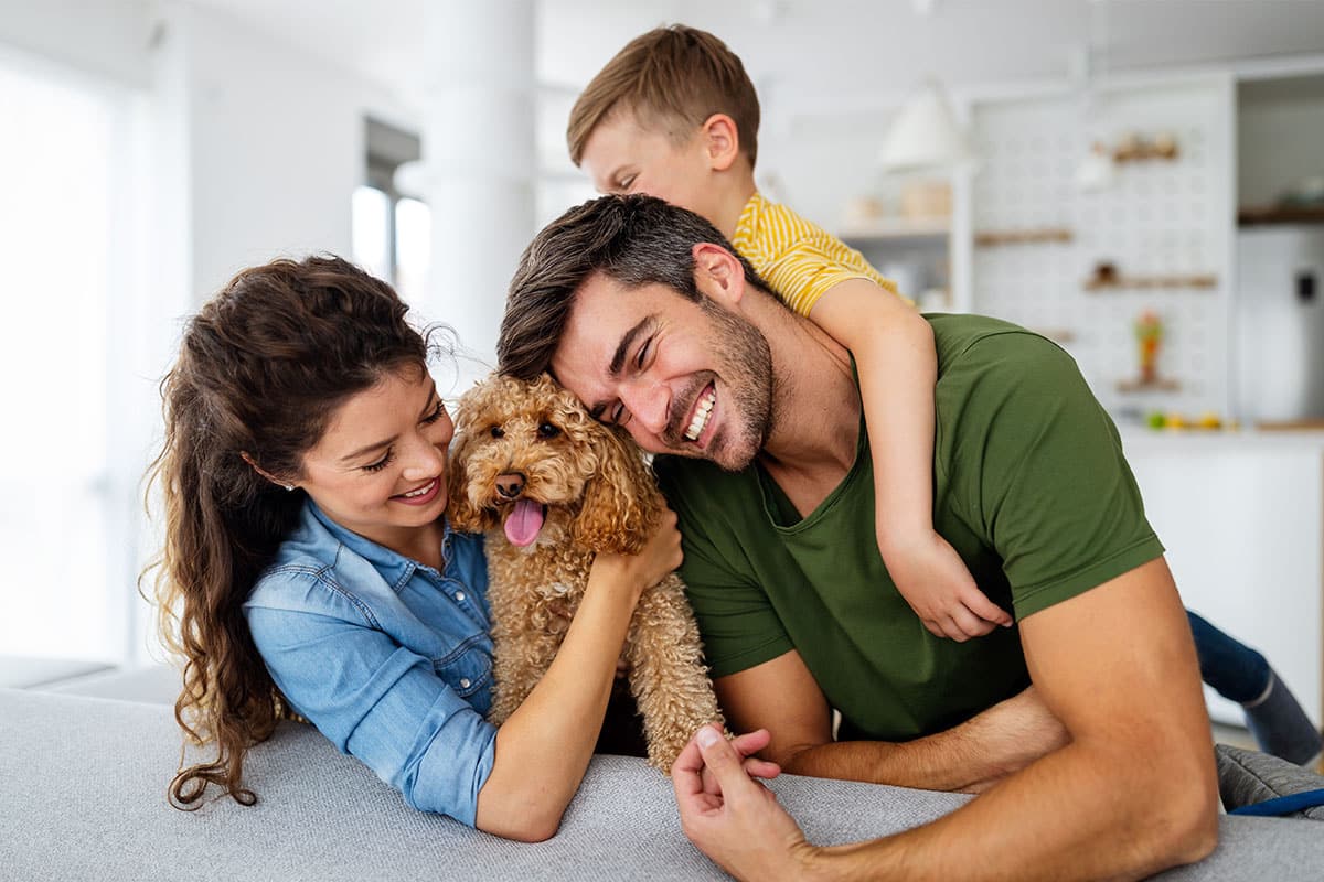 9 Gentle Dog Breeds for Peaceful Homes 9 Gentle Dog Breeds for Peaceful Homes