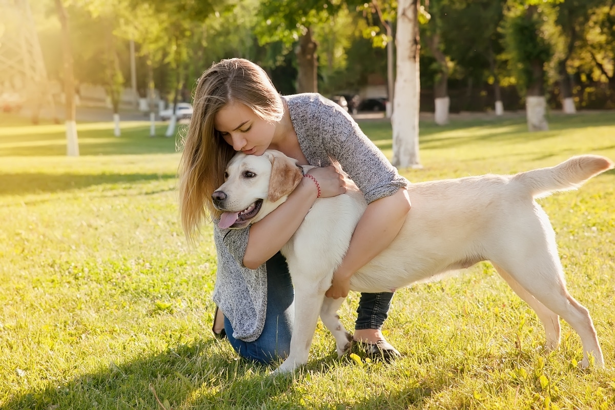 9 Loving Dog Breeds That Follow You 9 Loving Dog Breeds That Follow You