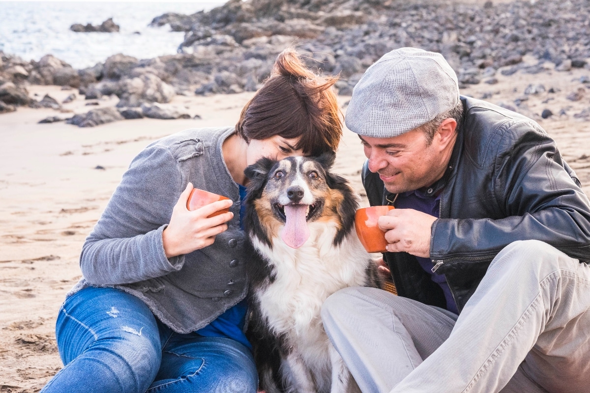 9 Playful Dog Breeds That Love To Entertain Families 9 Playful Dog Breeds That Love To Entertain Families