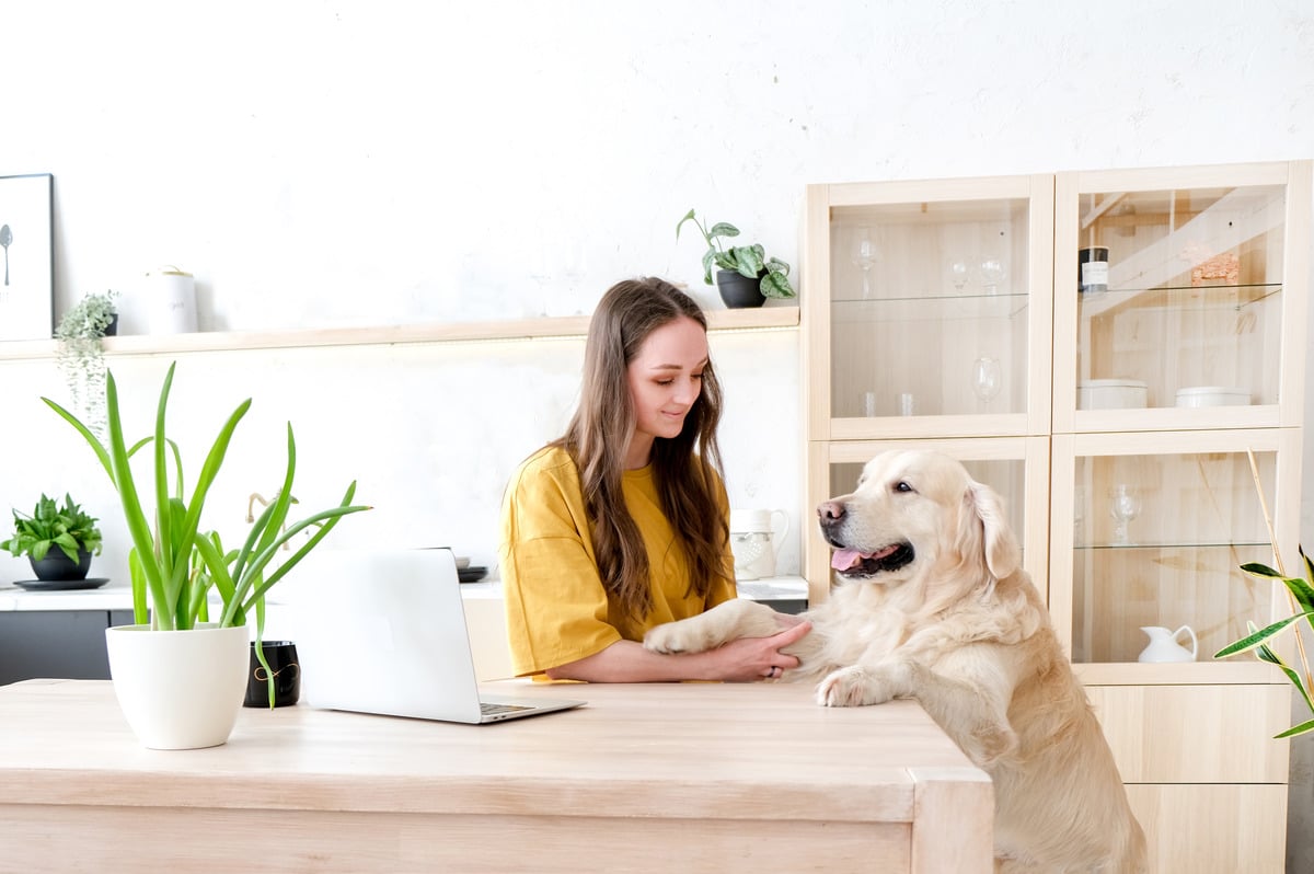 9 Reasons Your Dog Was Basically Your Furry Shadow 9 Reasons Your Dog Was Basically Your Furry Shadow