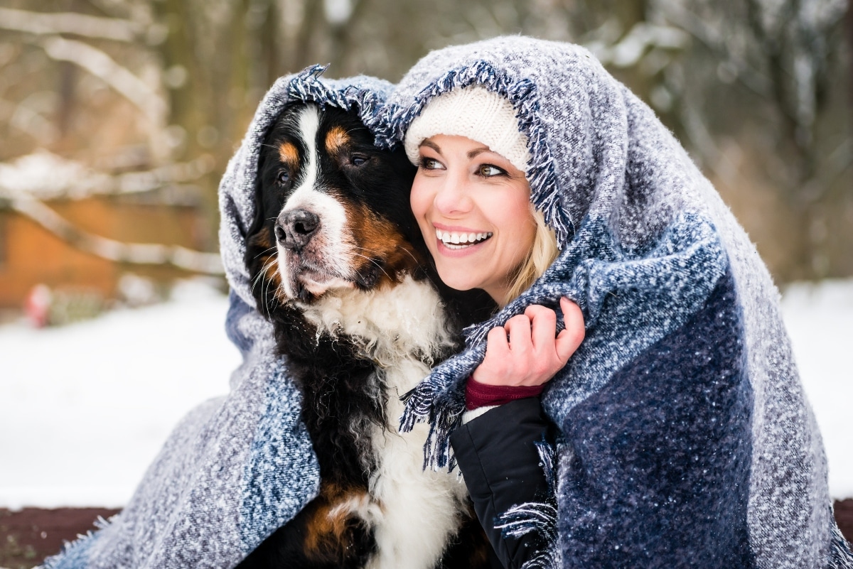 9 Snuggle Bug Dog Breeds for Cozy Days 9 Snuggle Bug Dog Breeds for Cozy Days