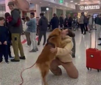 After Waiting So Long, This Dog Finally Sees His Mom Again After Waiting So Long, This Dog Finally Sees His Mom Again