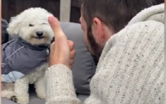 Buddy the Dog Grins Every Time He Hears His Cue Buddy the Dog Grins Every Time He Hears His Cue
