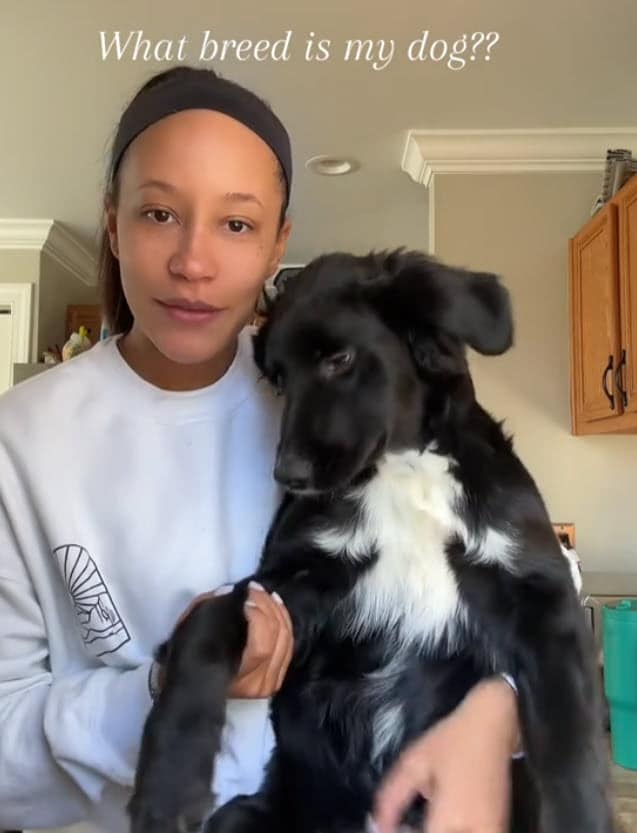 Dog Owner Was Shocked After DNA Test Reveals Puppy’s Real Ancestry Dog Owner Was Shocked After DNA Test Reveals Puppy’s Real Ancestry