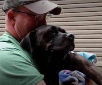 He Was in Bad Shape, But This Family’s Kindness Gave Him a Chance He Was in Bad Shape, But This Family’s Kindness Gave Him a Chance