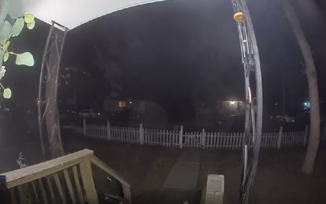 Lost Cat Comes Home After a Week—And Rings the Doorbell! Lost Cat Comes Home After a Week—And Rings the Doorbell!