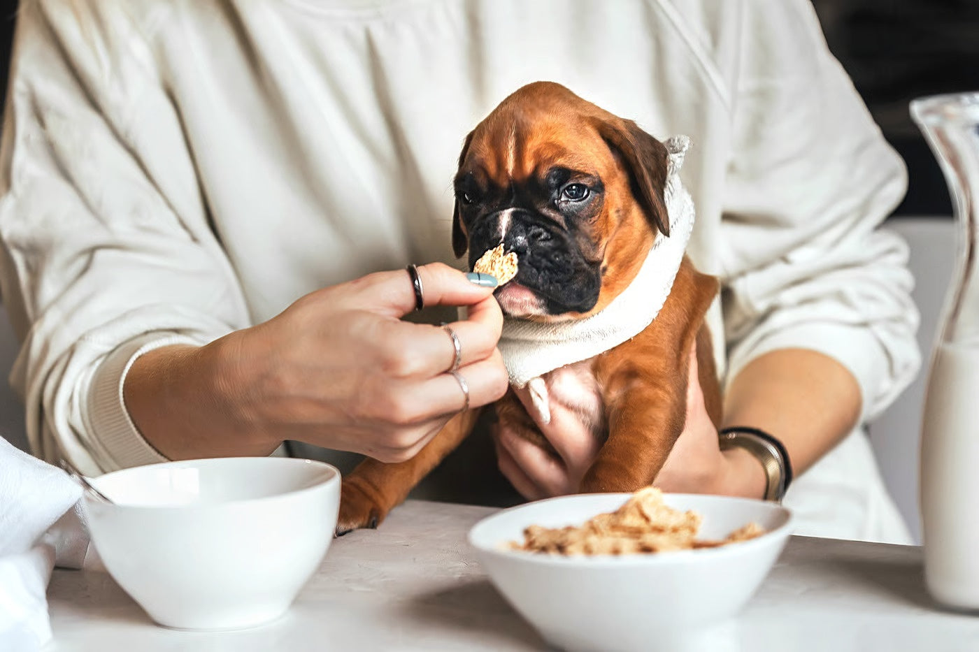 Personality, Training, Care & Health Tips – Petsworld