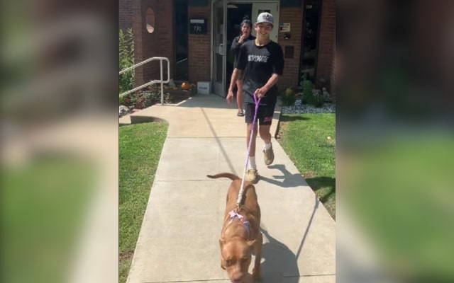 Shelter Dog in Pennsylvania Goes on Fun Trip — And Gets the Best Surprise Ever Shelter Dog in Pennsylvania Goes on Fun Trip — And Gets the Best Surprise Ever