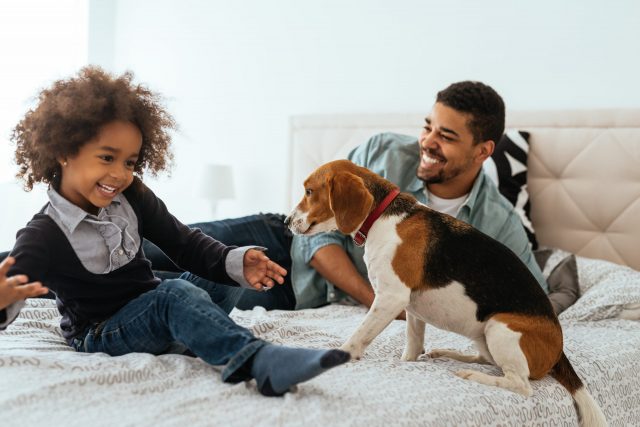 The Best Gifts for Dads Who Love Their Dogs The Best Gifts for Dads Who Love Their Dogs