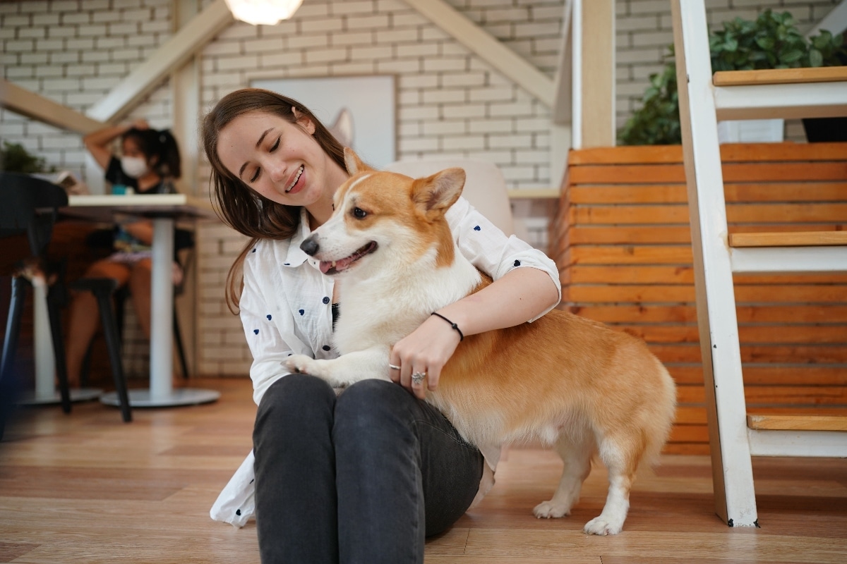 These 11 Friendly Dog Breeds Love to Greet Everyone These 11 Friendly Dog Breeds Love to Greet Everyone