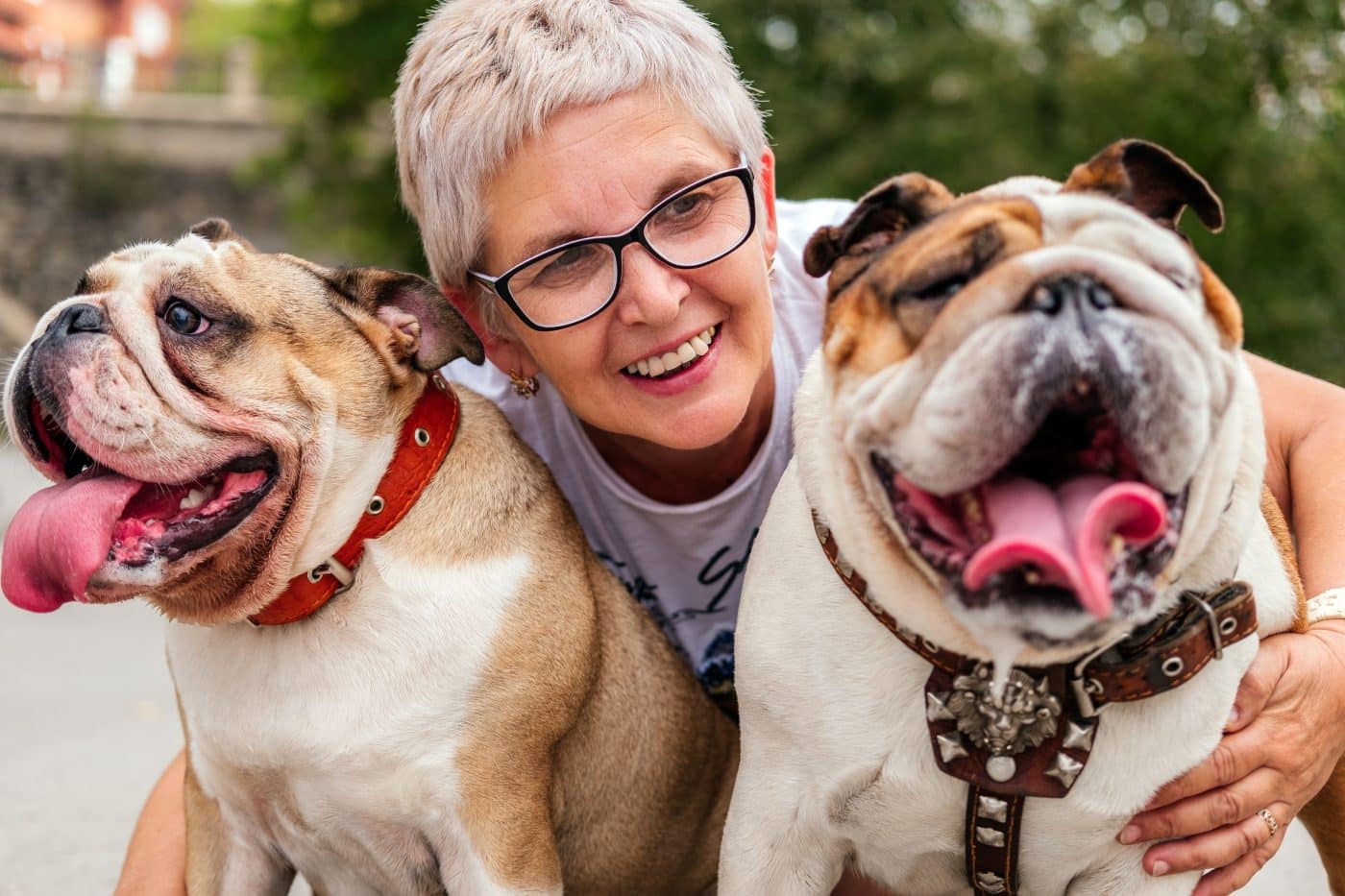 These 15 Dog Breeds Don’t Do Boring—They Do Zoomies, Fetch, and Fun These 15 Dog Breeds Don’t Do Boring—They Do Zoomies, Fetch, and Fun