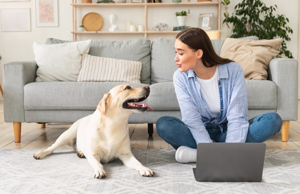 These 31 Early Amazon Pet Day Dog Deals Are Available Right NOW! These 31 Early Amazon Pet Day Dog Deals Are Available Right NOW!