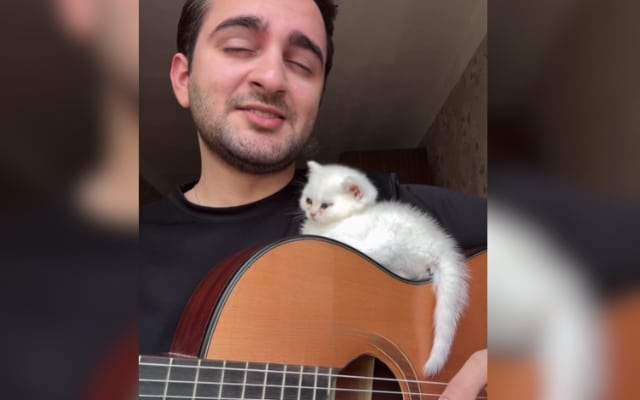 Tiny Kitten Chills on Guitar While Dad Sings to Her Tiny Kitten Chills on Guitar While Dad Sings to Her