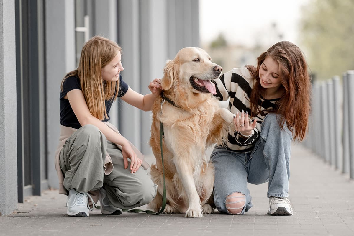 You’ll Laugh All Day With These 11 Playful Dog Breeds You’ll Laugh All Day With These 11 Playful Dog Breeds